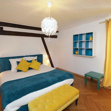 Maison Centre Ville Colmar Jacuzzi Jardin Et Climatisation Екстериор снимка