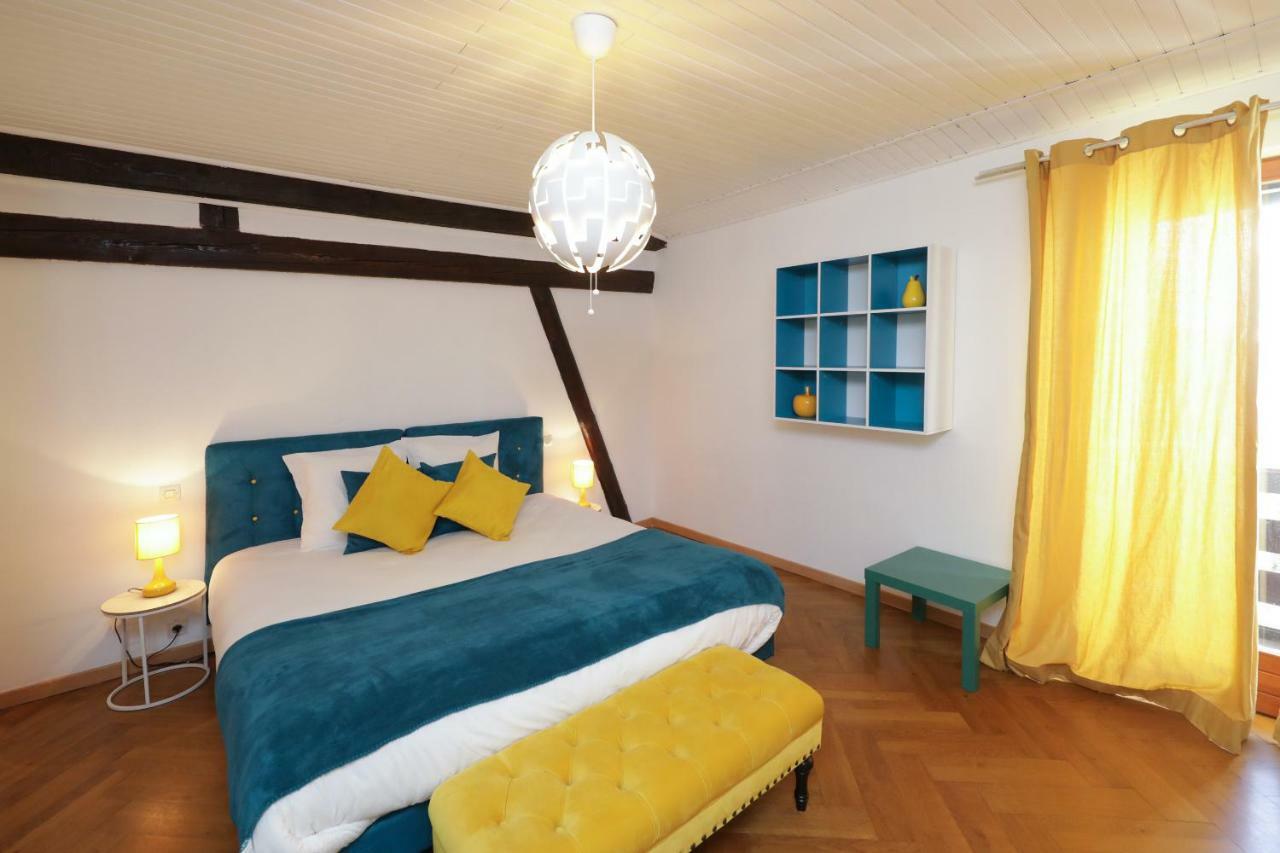 Maison Centre Ville Colmar Jacuzzi Jardin Et Climatisation Екстериор снимка